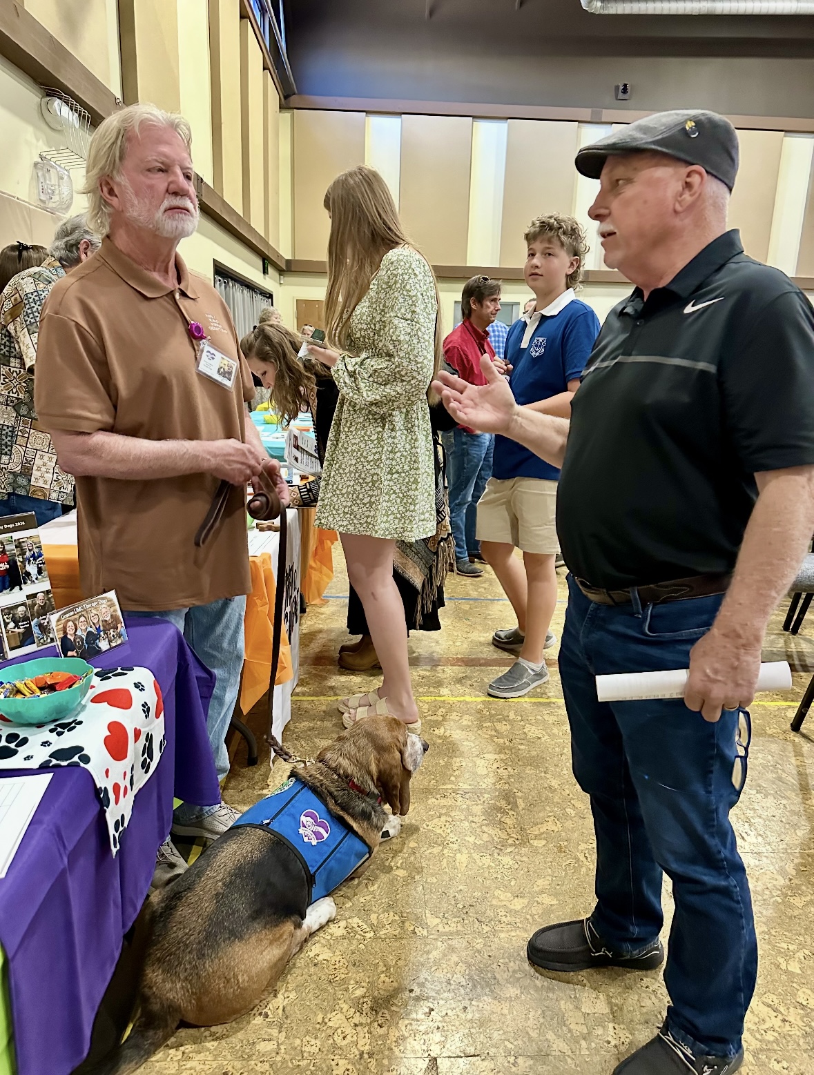 Chico, a basset hound therapy dog in a blue Paws 4 Hearts vest, lying on the floor greeting visitors at an indoor community event