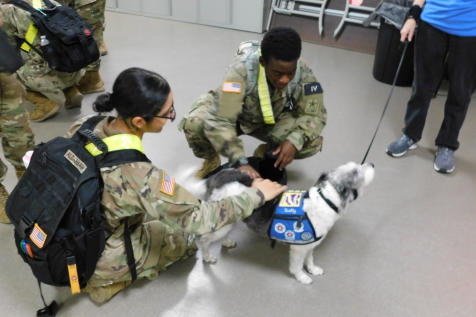A therapy dog surrounded by a group of service members posing for a photo
