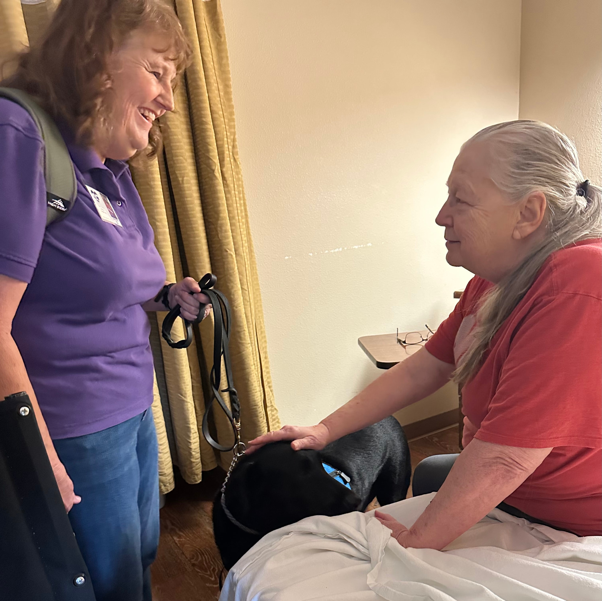A volunteer in a purple shirt smiling as a resident reaches down to pet Duke, a black Labrador therapy dog in a blue vest, in a care home room