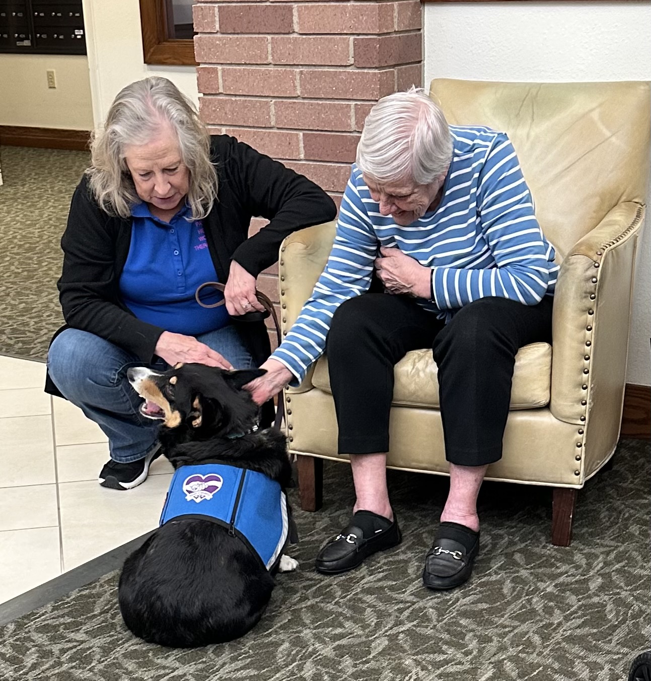 Volunteer with Marlow, a black and white therapy dog in a blue Paws 4 Hearts vest, visiting a resident seated in an armchair
