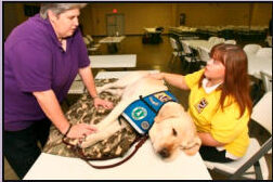 Karen Minson and Amanda White demonstrating therapy-dog support during rehabilitation