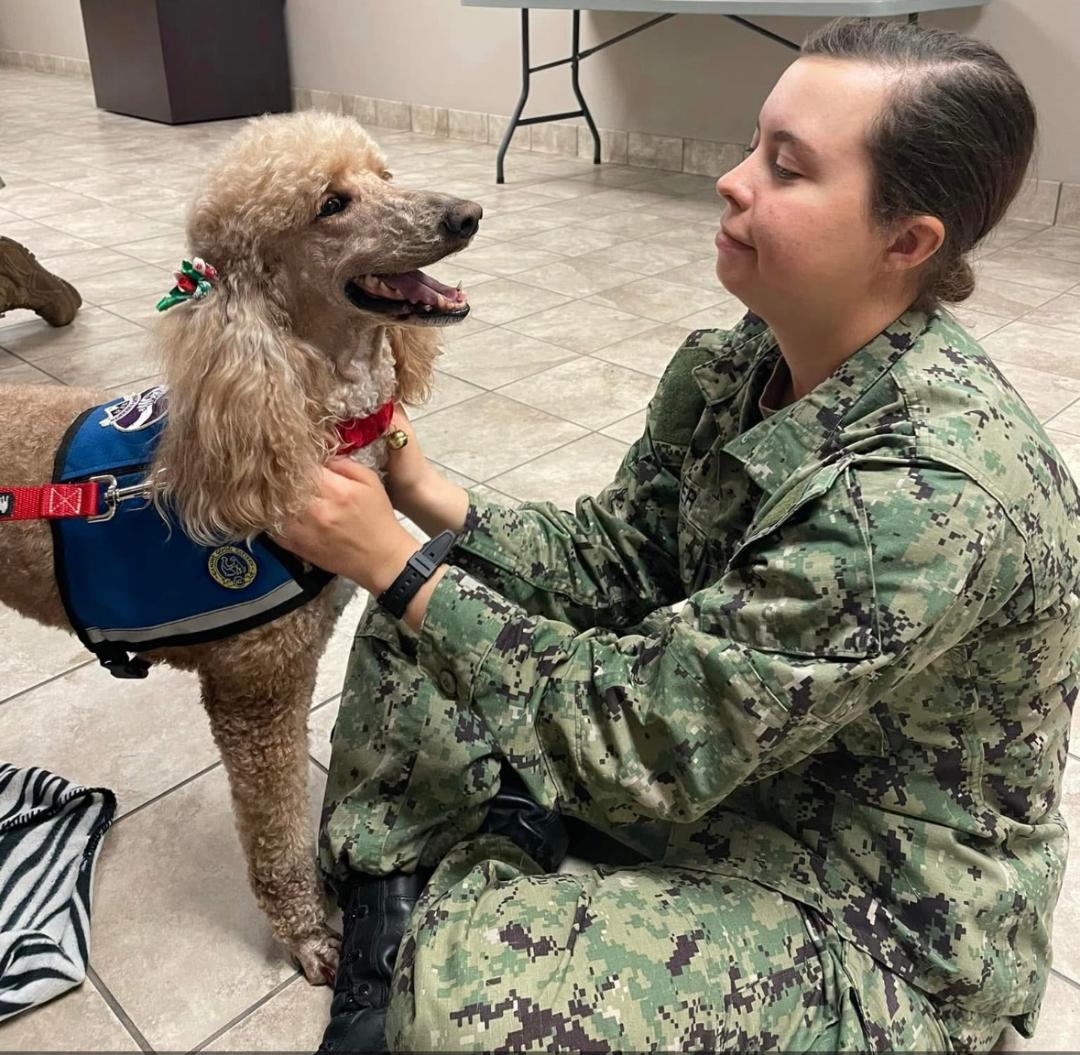 Therapy dog Penny being petted by a soldier in uniform