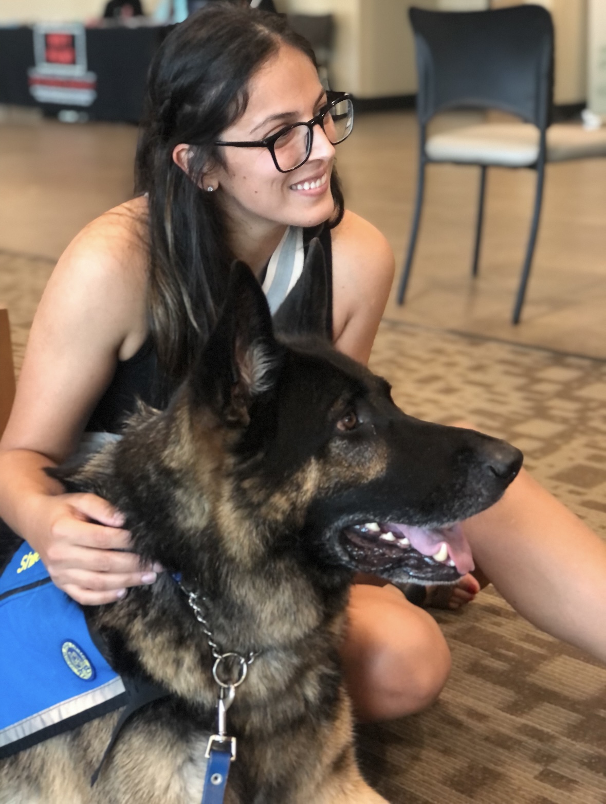 Shiloh, a dark shepherd therapy dog in a blue vest, being petted by a smiling visitor