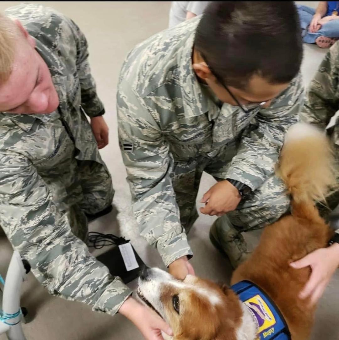 Two airmen petting therapy dog Muffy during a base visit