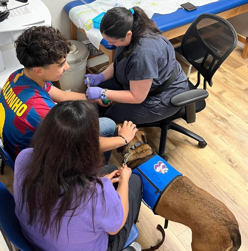 A therapy dog comforting a teen during a shot at the doctor's office
