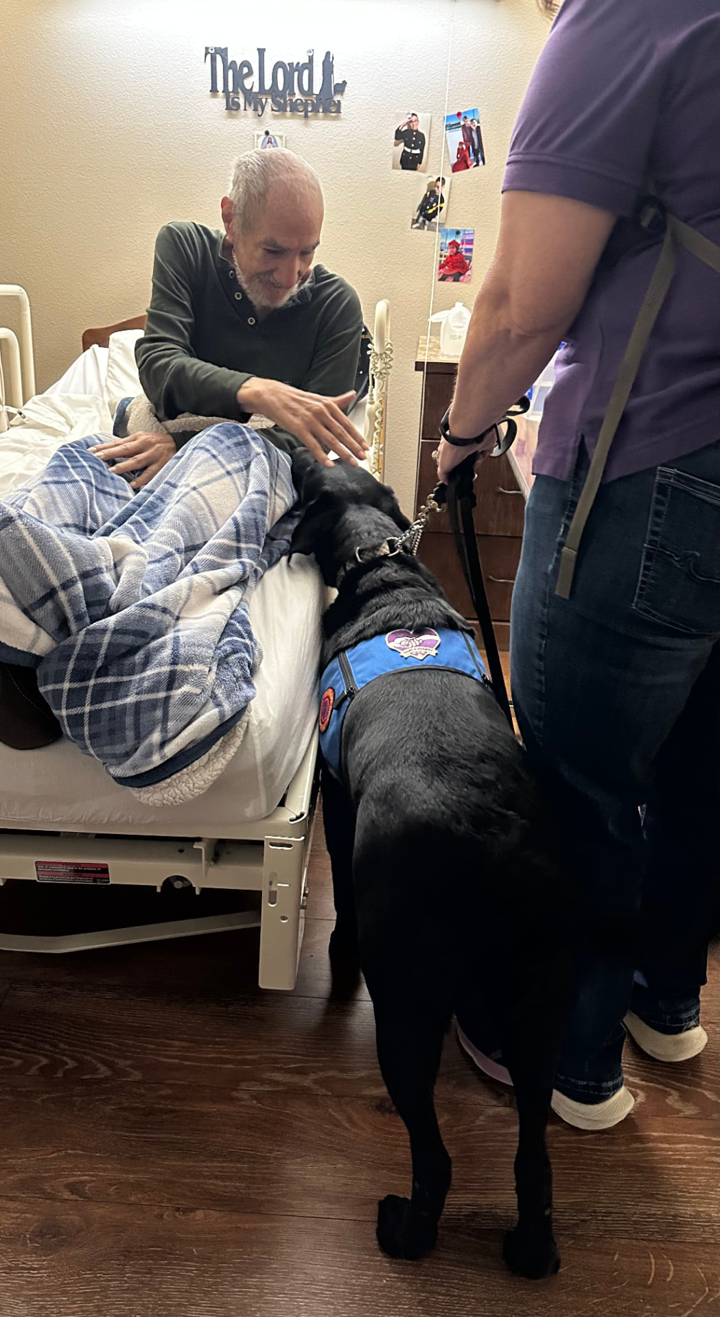 Duke the black Labrador therapy dog in a blue vest standing beside a patient at his bedside