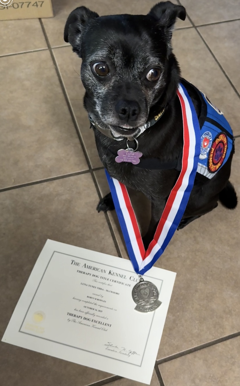 Luna, Robyn's AKC therapy dog