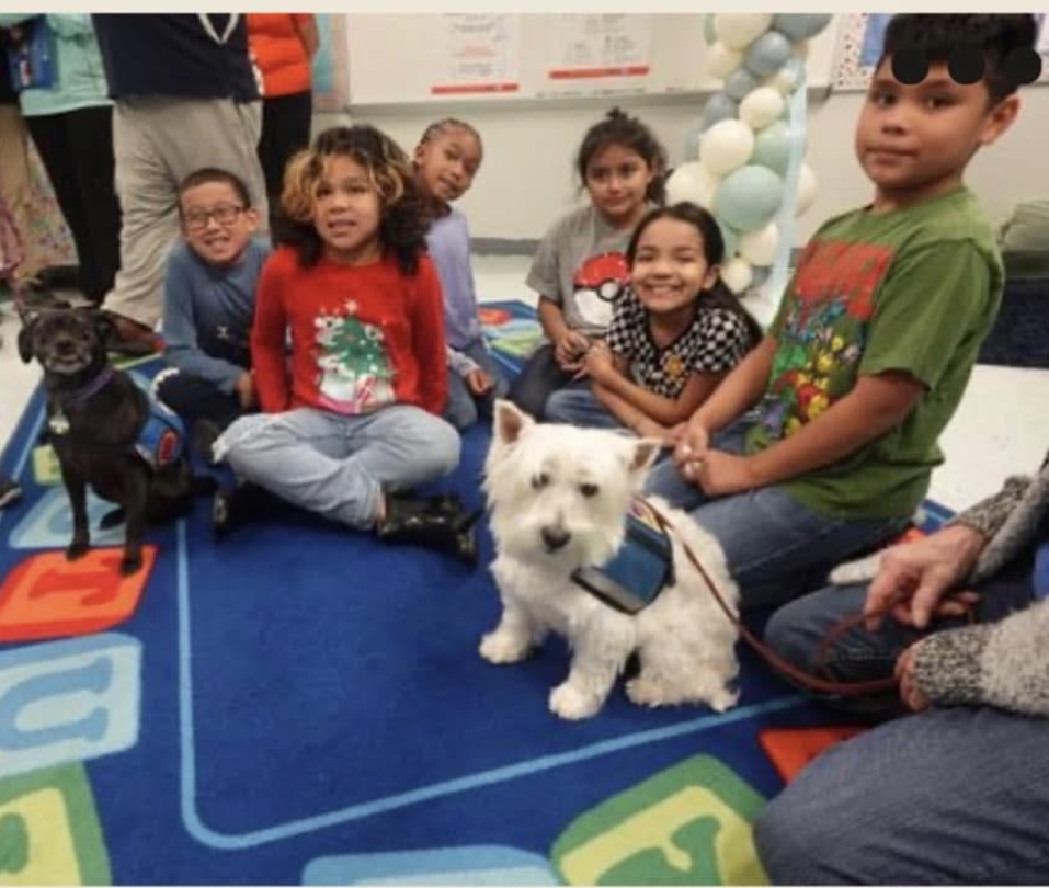 A group of children smiling with two therapy dogs in a classroom