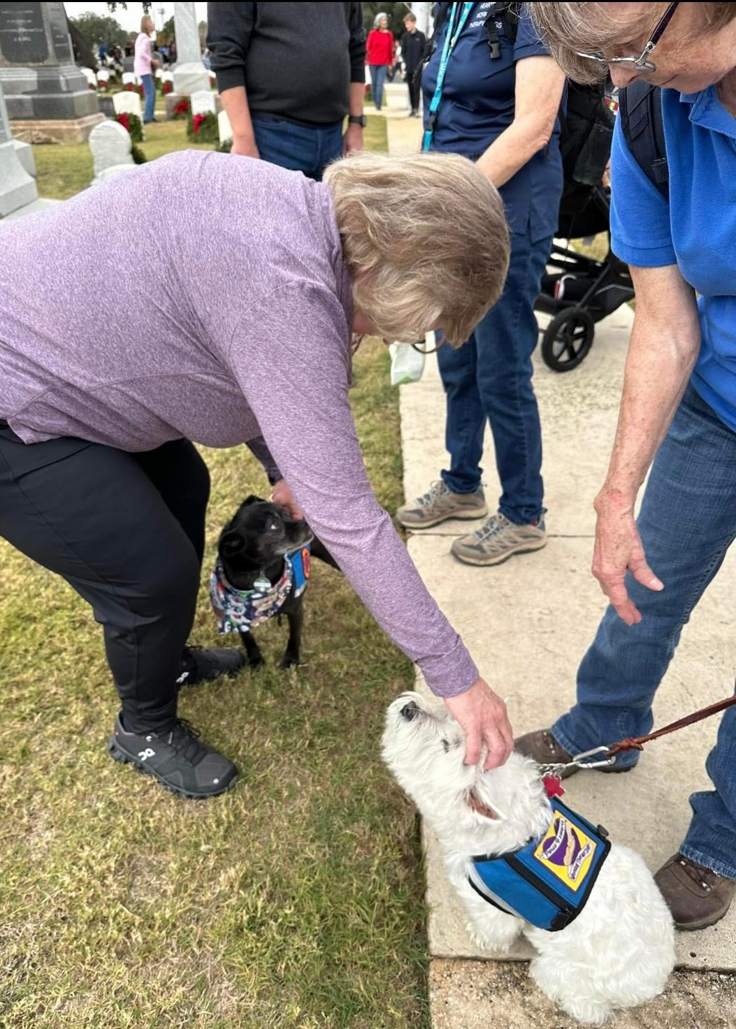 Two therapy dogs greeting visitors at Wreaths Across America