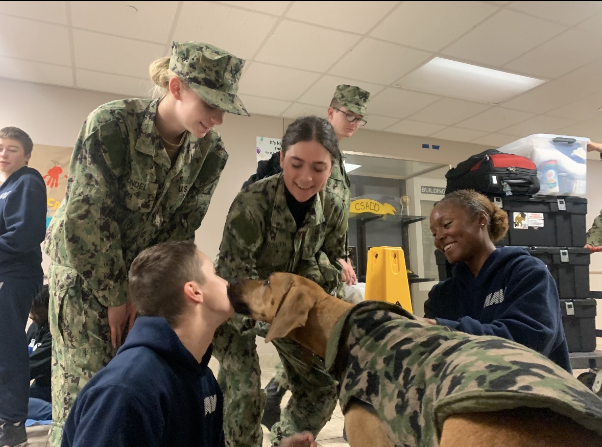 Sailors in uniform greeting and petting a therapy dog in a camouflage vest during a base visit