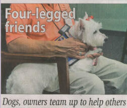 A Paws 4 Hearts therapy dog moment