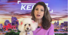 A Paws 4 Hearts therapy dog moment