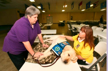A Paws 4 Hearts therapy dog moment