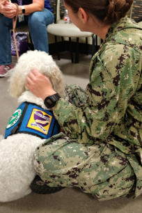 A Paws 4 Hearts therapy team on a visit
